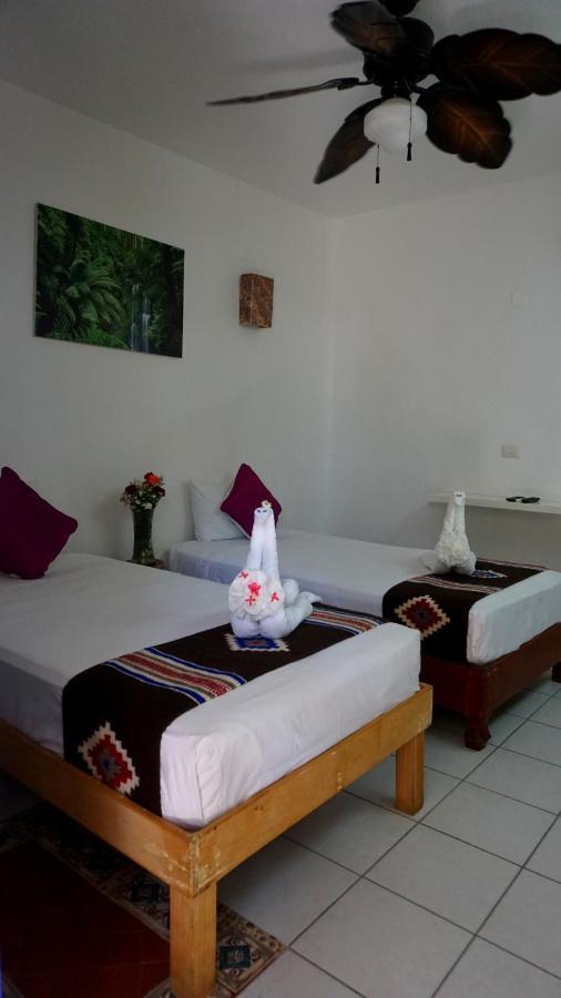 Selva Y Mar Apart Hotel Playa del Carmen Exterior foto